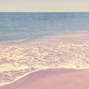 Meet your Posher, Gigi and Brooke